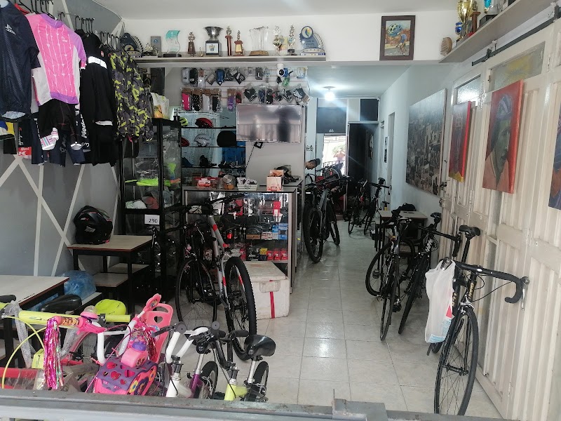 Ciclo Ortiz Bello