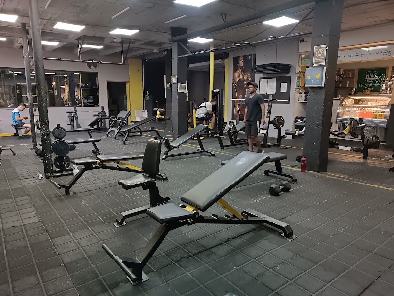 Gimnasio survivor gym