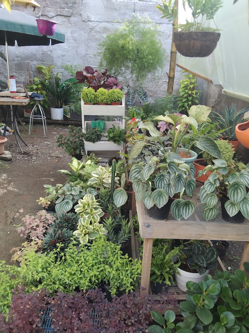 Vivero TERRARIOS