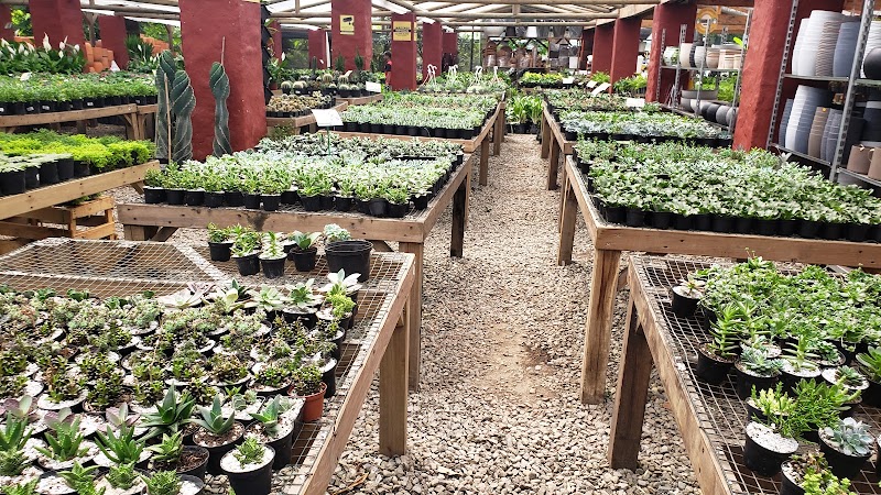 Vivero Tierranegra Poblado
