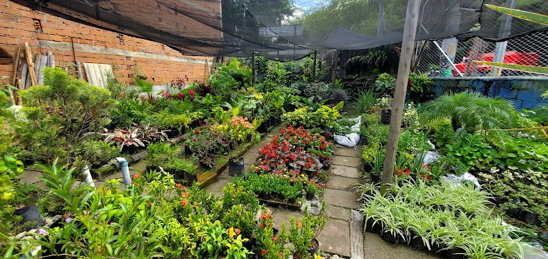 Vivero Zerengeti