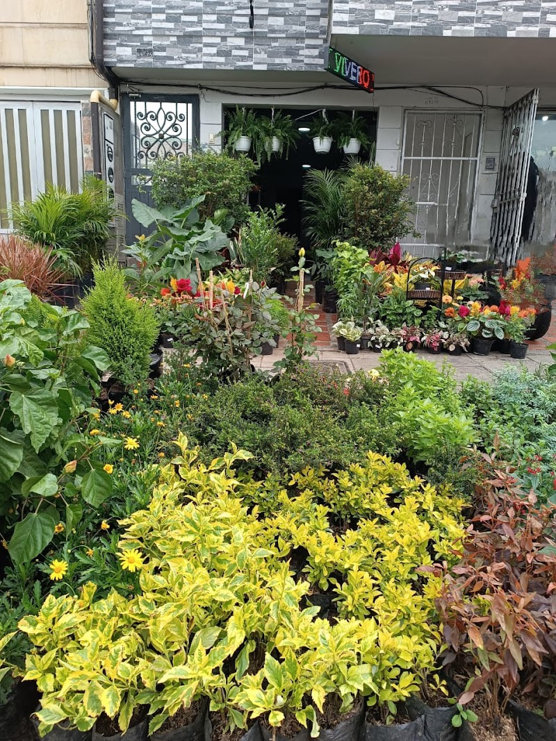 Vivero NaturaViva