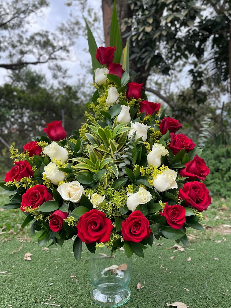 Floristería Pétalos Bello