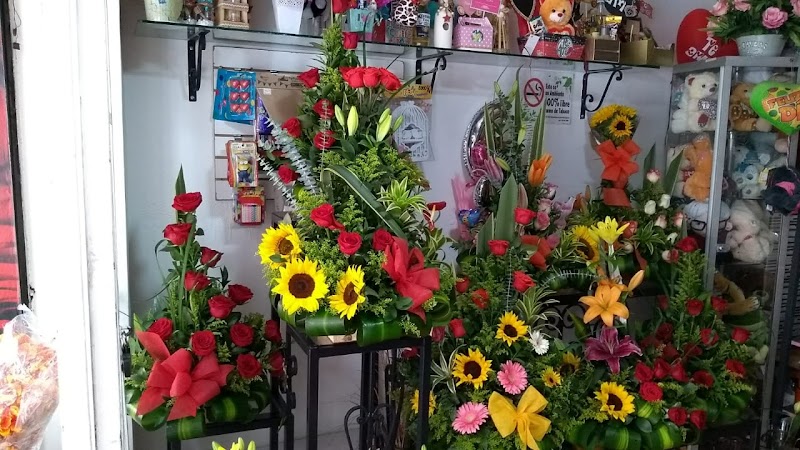 Floristería Los Lagos