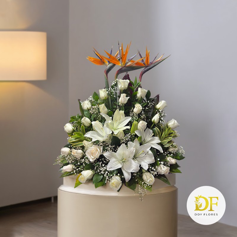 Doy Flores Medellín – Floristería cerca de ti con entregas rápidas y arreglos para toda ocasión
