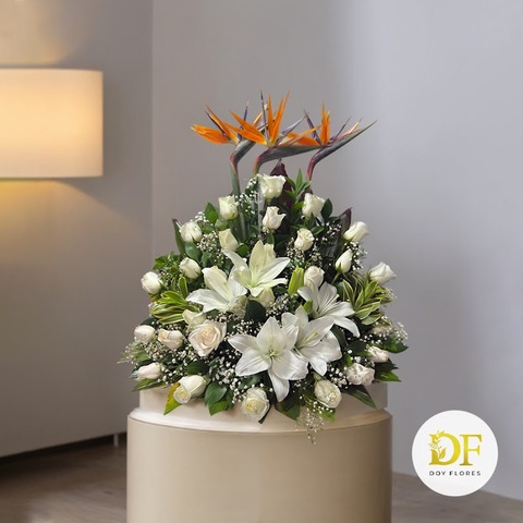 Doy Flores Medellín – Floristería cerca de ti con entregas rápidas y arreglos para toda ocasión