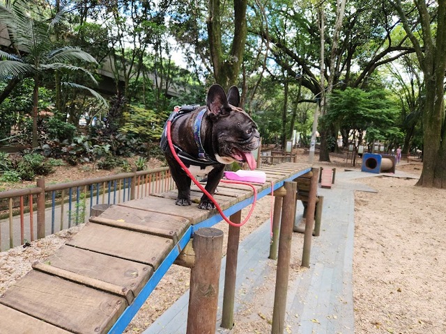 zona recreativa parque del amor