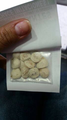 Centro Naturista La Ortiga