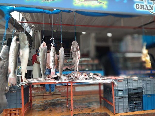 Inversiones El Gran Pez Del Llano S.A.S