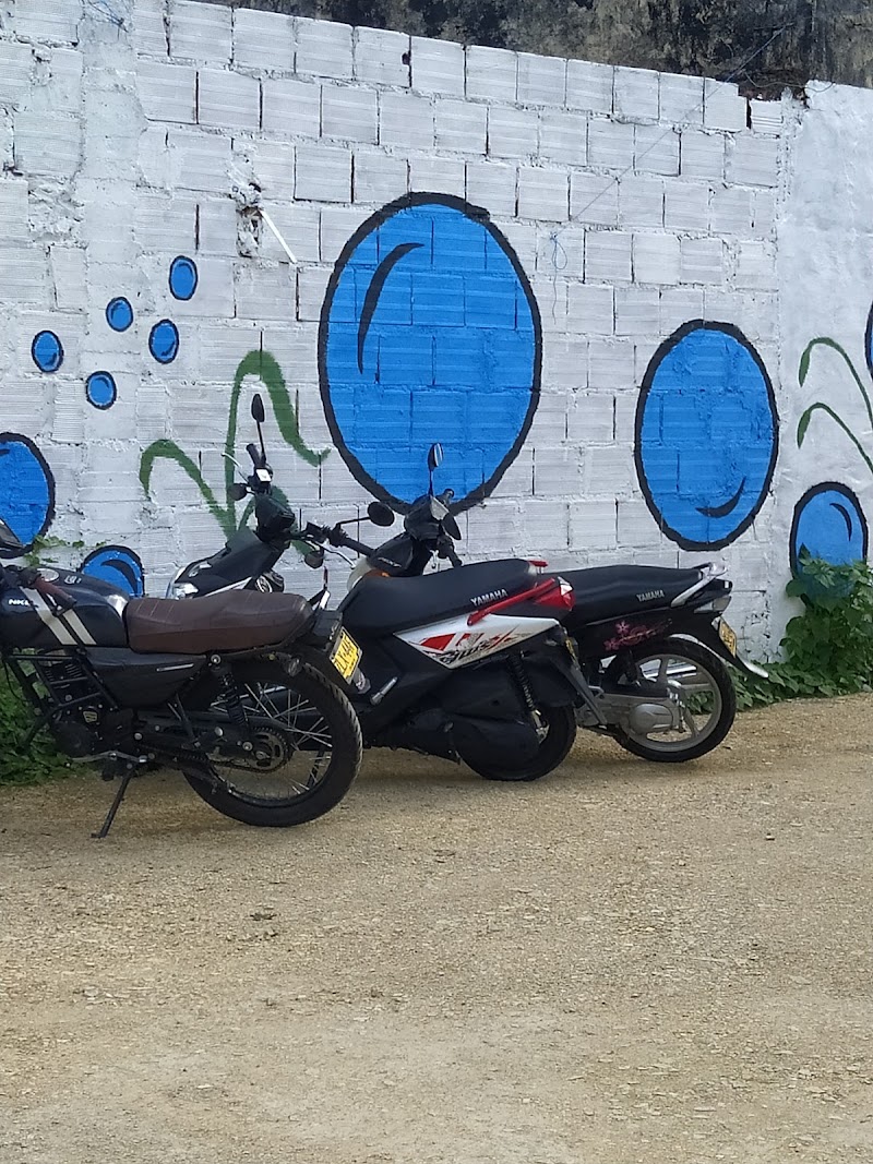 Autolavado La Zona Ecofriendly