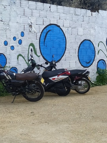 Autolavado La Zona Ecofriendly