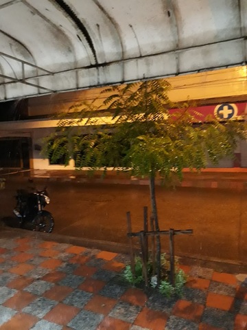 VÍA BALOTO DROGAS COPIFAM LA DORADA 3 LA DORADA