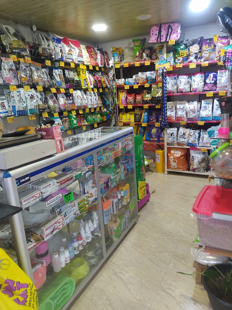 CATS AND DOGS PET SHOP LA DORADA
