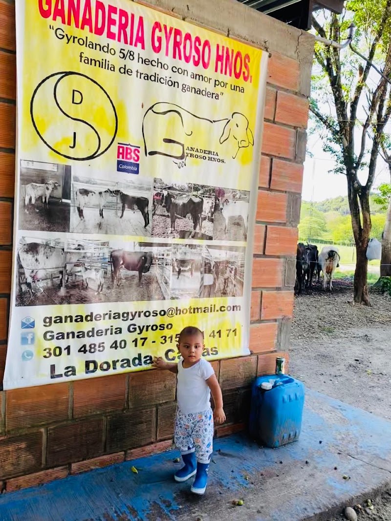 Finca Gyrolandia
