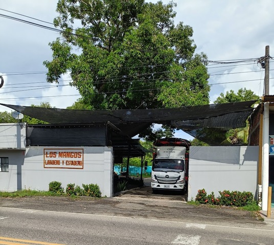 LAVADERO Y ESTADERO LOS MANGOS