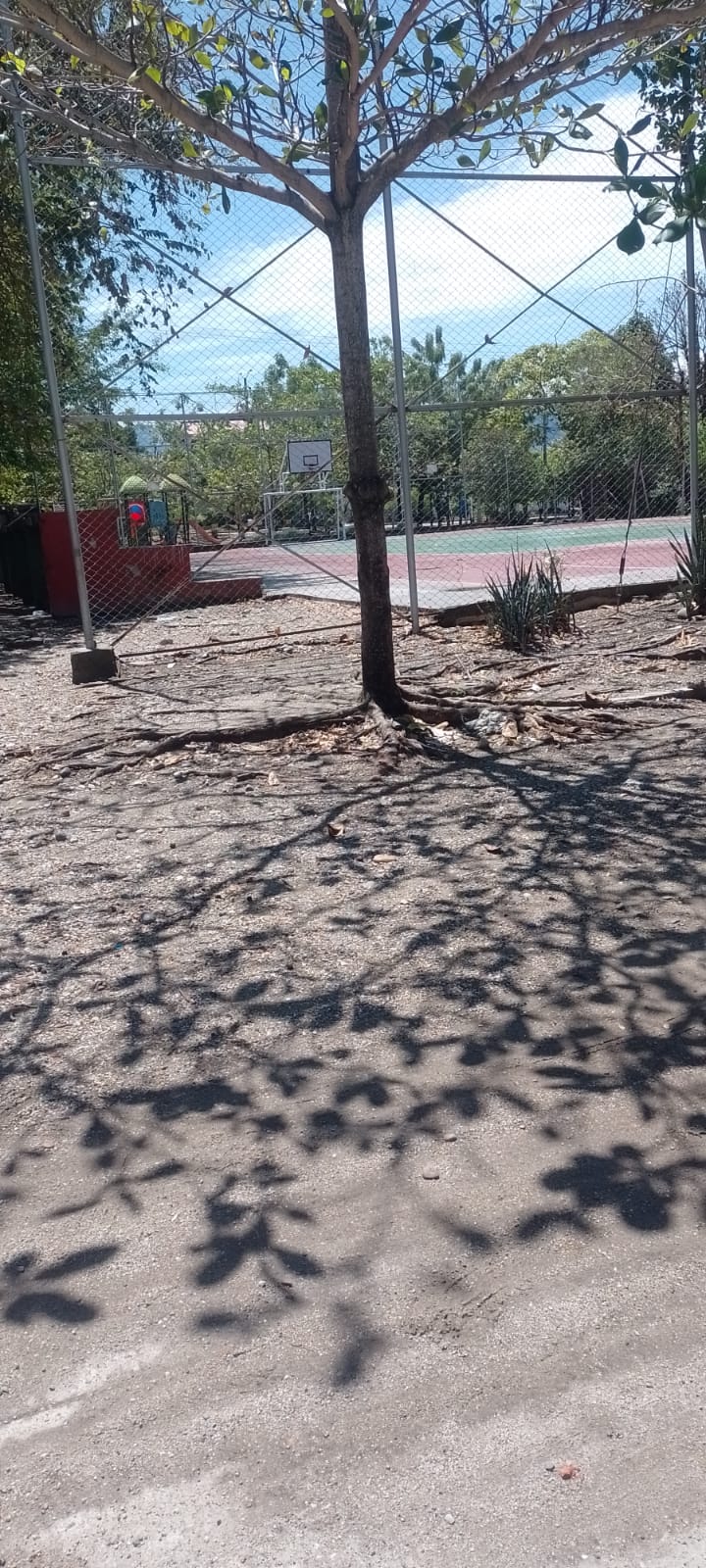 Zona recreativa vivero