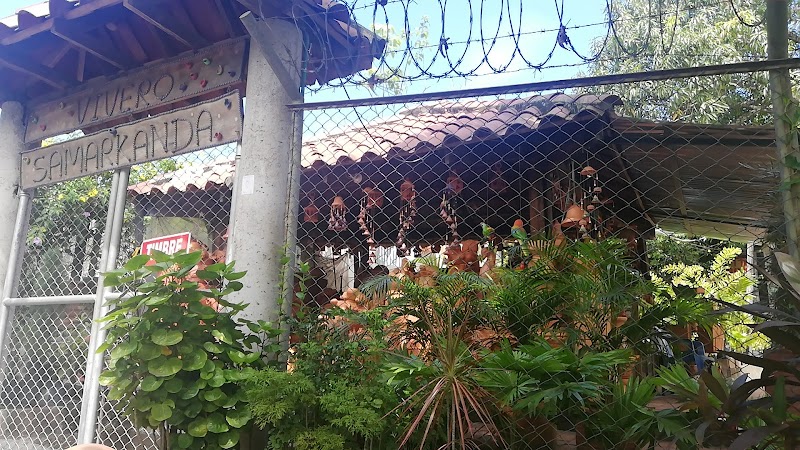 Vivero samarkanda