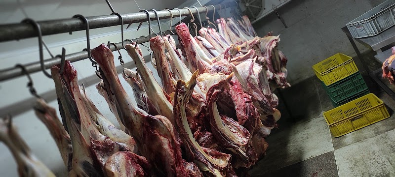 Carnes Santa Rita