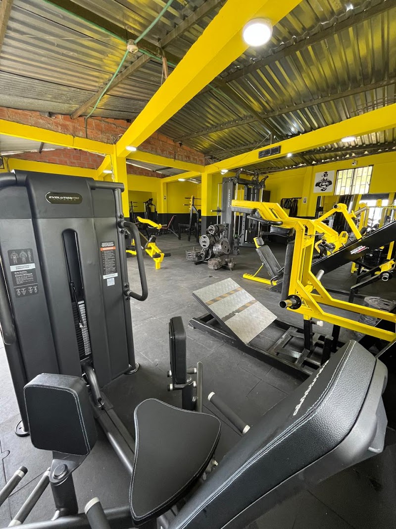 Gimnasio BPT