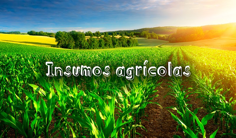 punto agropecuario la finca