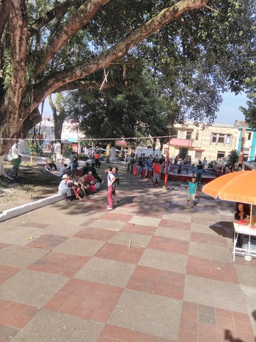 carnes y verduras tamayo