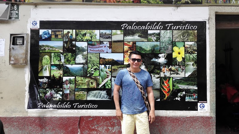 Agencia Rapido Tolima Sede Palocabildo Tolima