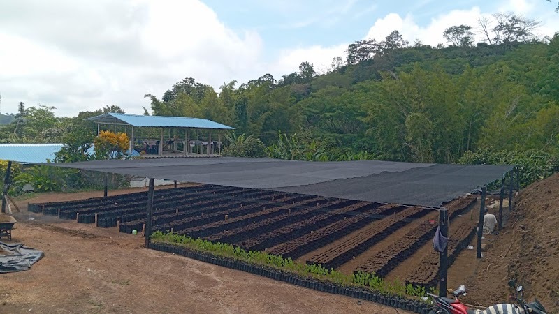 Vivero cacaotero el Edén