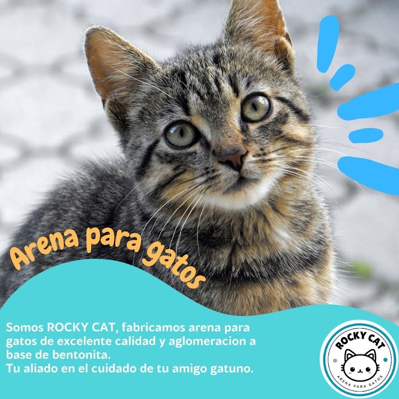Rocky Cat Arena para gatos
