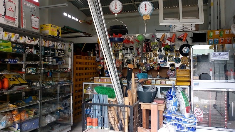 Ferrelectricos la Florida