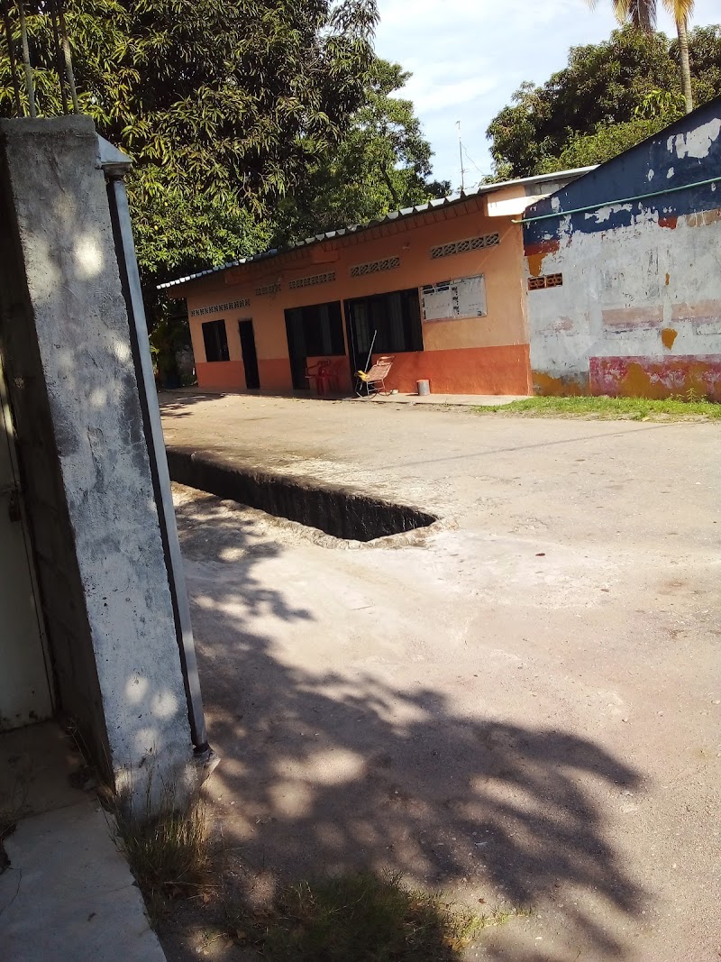 Lavado de autos. Venicia