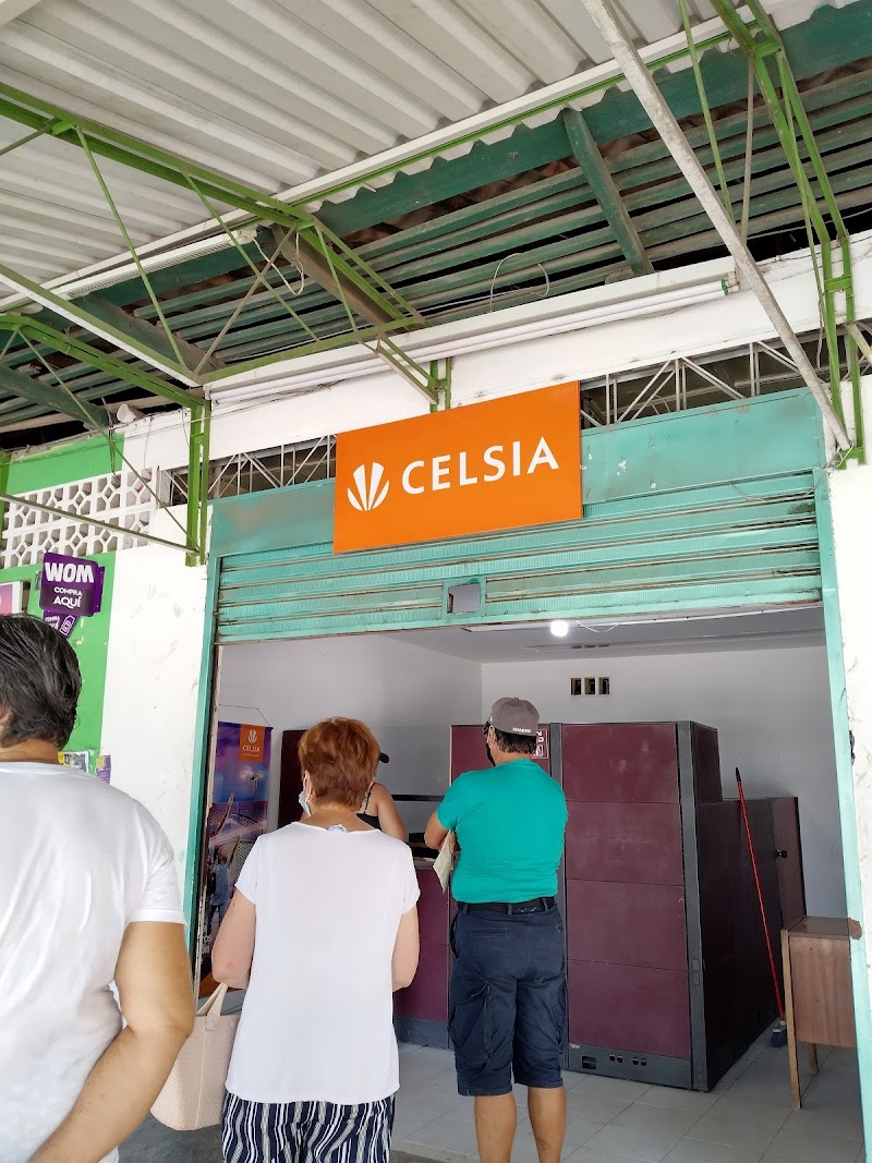 Celcia