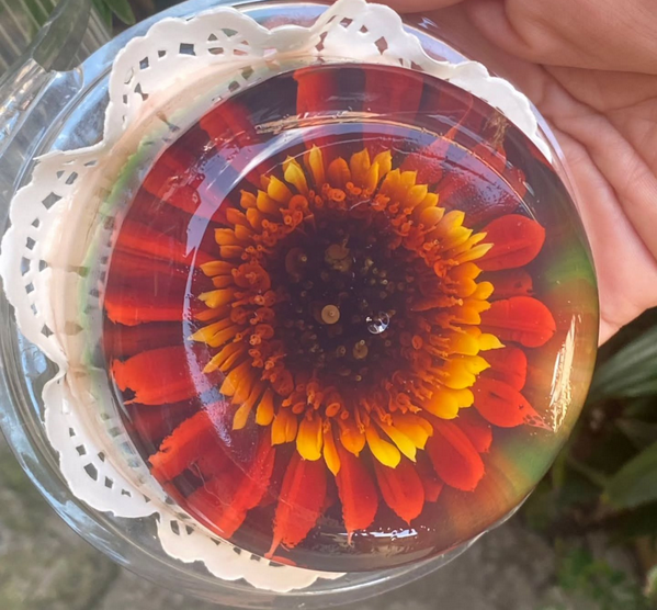 Dulce Delirio