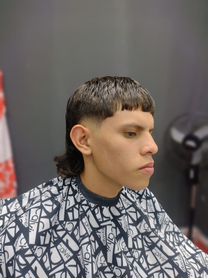 Estudio Barber 1998