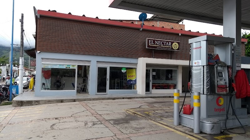 Terpel Service Station