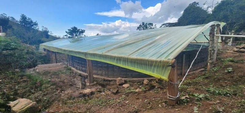 PISCÍCOLA VILLA DEL ROSARIO SAS