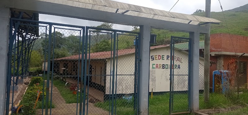 Institucion educativa la carbonera