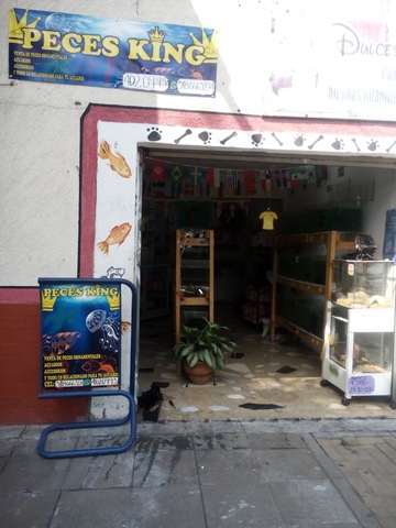 Peces King