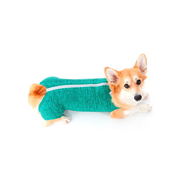 Tiendas Pastor Autoservicio de productos para mascotas