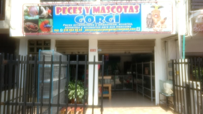 PECES Y MASCOTAS GORGI