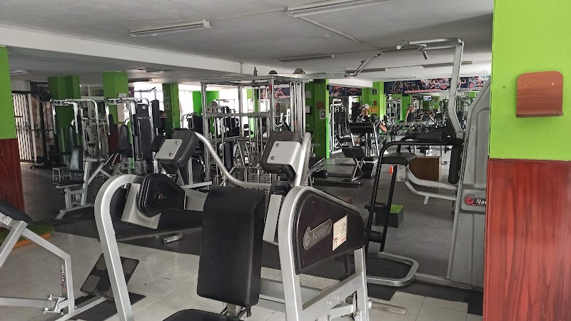GYM MUELLE S.A.S.
