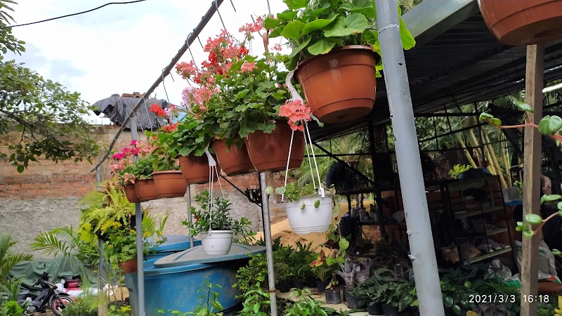 Vivero jardín tropical