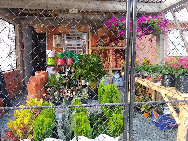 Vivero manzanares