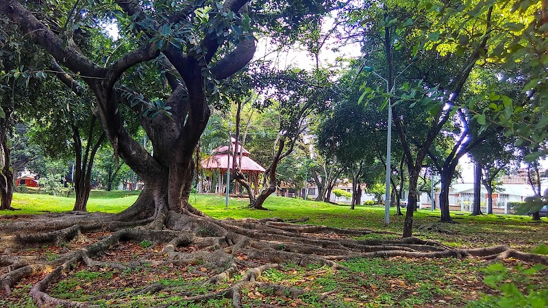 Parque de las Raíces
