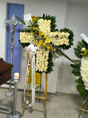 Los Olivos Sede Vasquez Cobo