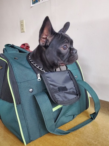 Hospital Veterinario San Bernardo