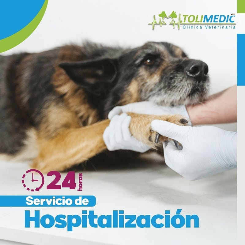 Clinica Veterinaria Tolimedic