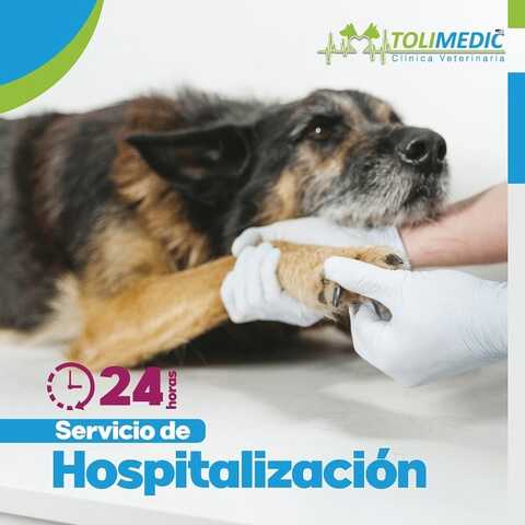 Clinica Veterinaria Tolimedic