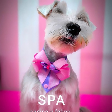 Tienda Veterinaria Canipet's