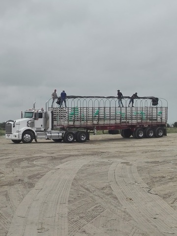Parqueadero Las Flores