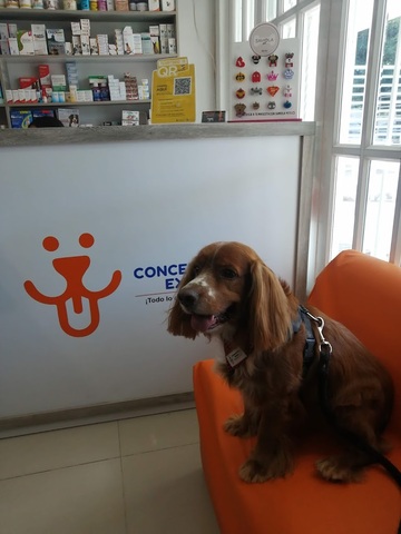 Concentrados Express - Tienda Virtual